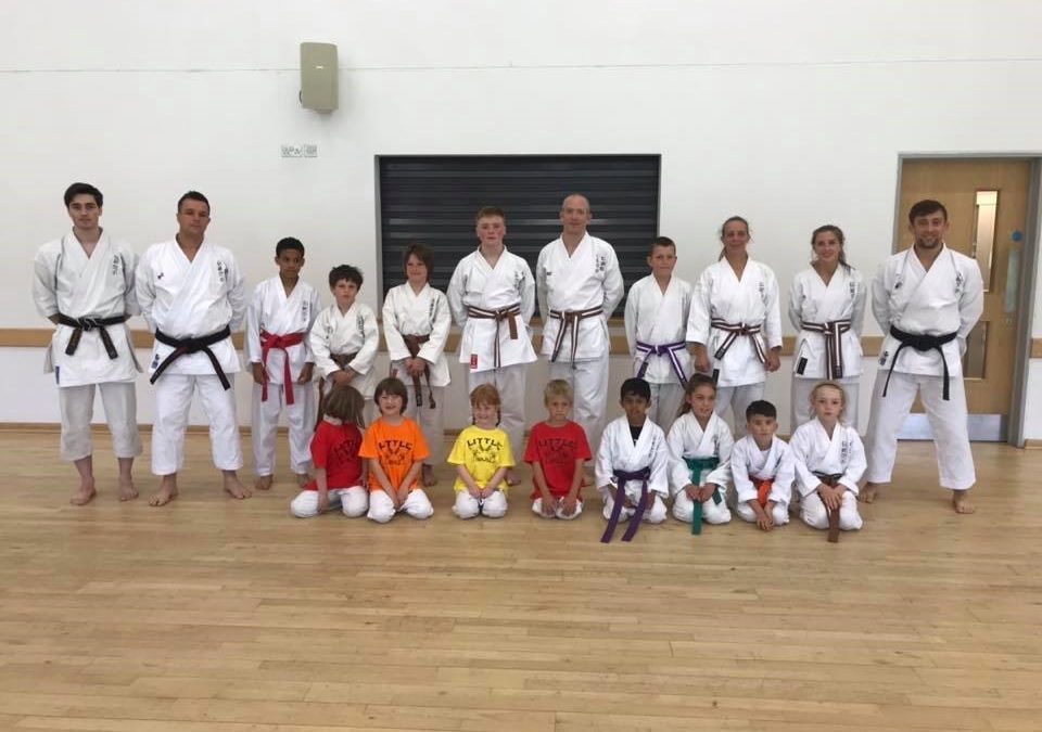 Little Ninjas and Alternative Gradings Success